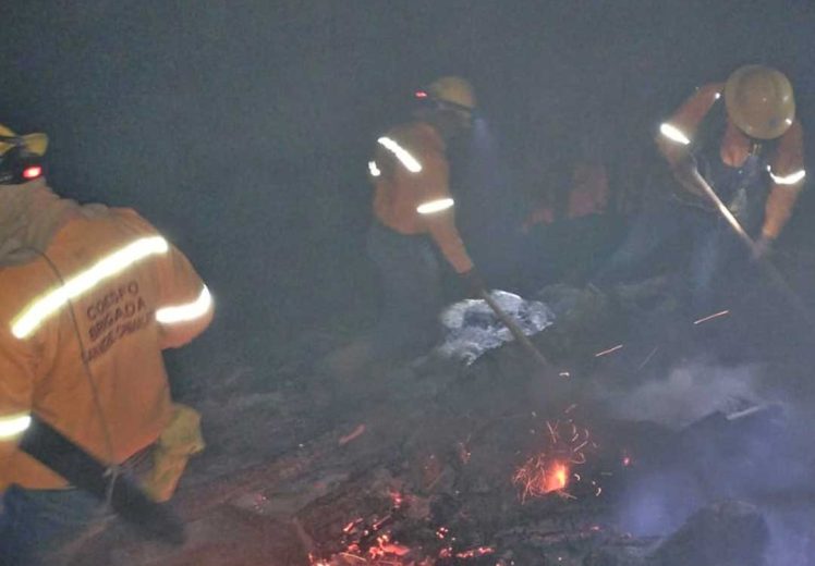 Liquidado incendio forestal en San Miguel Chimalapa, Oaxaca