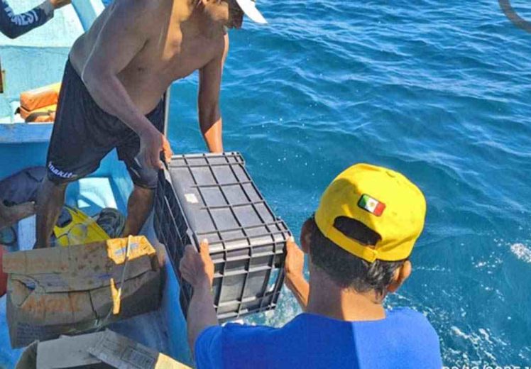 La Conanp devuelve al mar fragmentos de coral y conchas extraídas ilegalmente en Huatulco