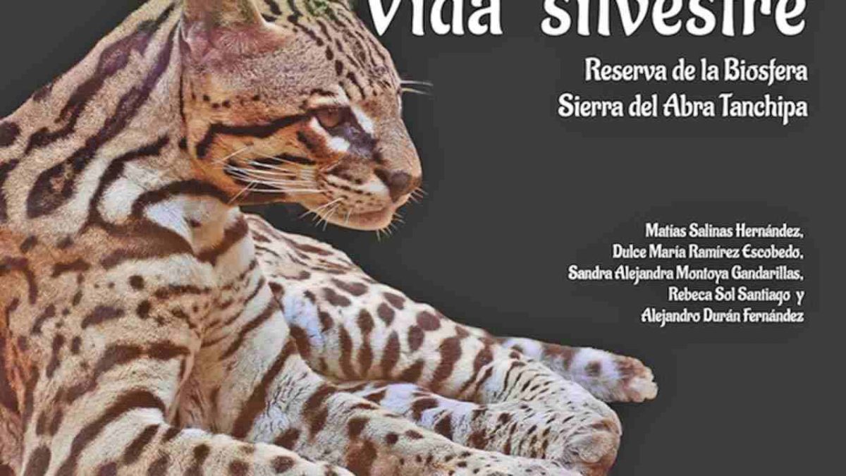 Conanp presenta el libro “Vida Silvestre: Reserva de la Biosfera del Abra Tanchipa”