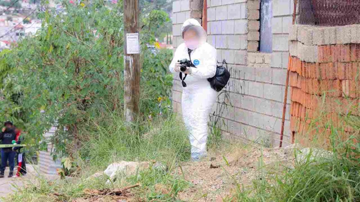 Fiscalía de Oaxaca investiga muerte de un perro atacado con cuchillo en San Martín Mexicapan