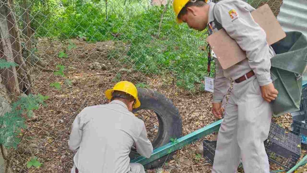 SSO confirma 10 nuevos casos de dengue en Oaxaca