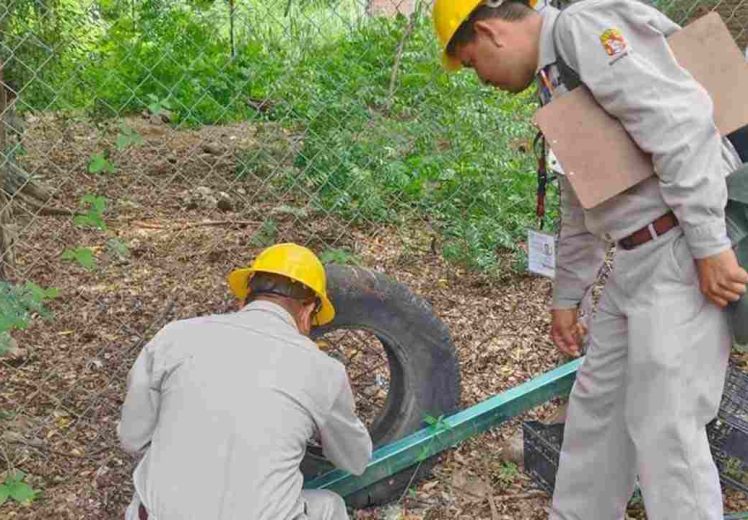 SSO confirma 10 nuevos casos de dengue en Oaxaca