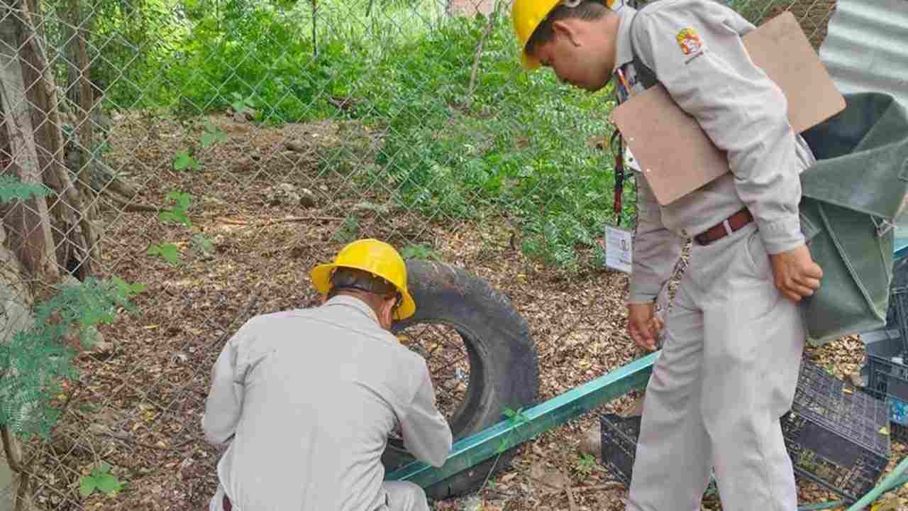 SSO confirma 10 nuevos casos de dengue en Oaxaca