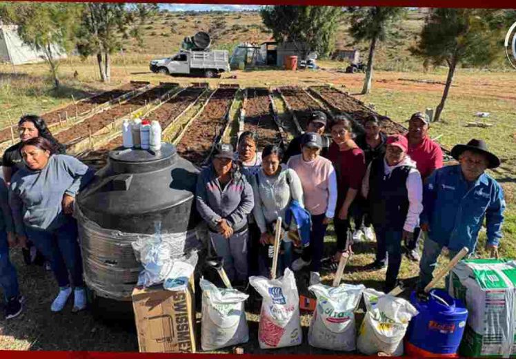 Instalan 40 huertos pedagógicos que benefician a más de 3 mil personas en Oaxaca