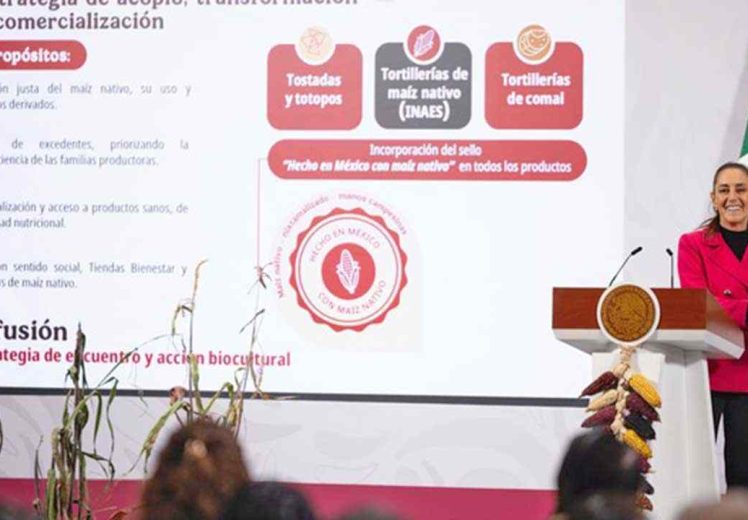 Gobierno de México lanza el Plan Nacional de Maíz Nativo: “El Maíz es la Raíz”