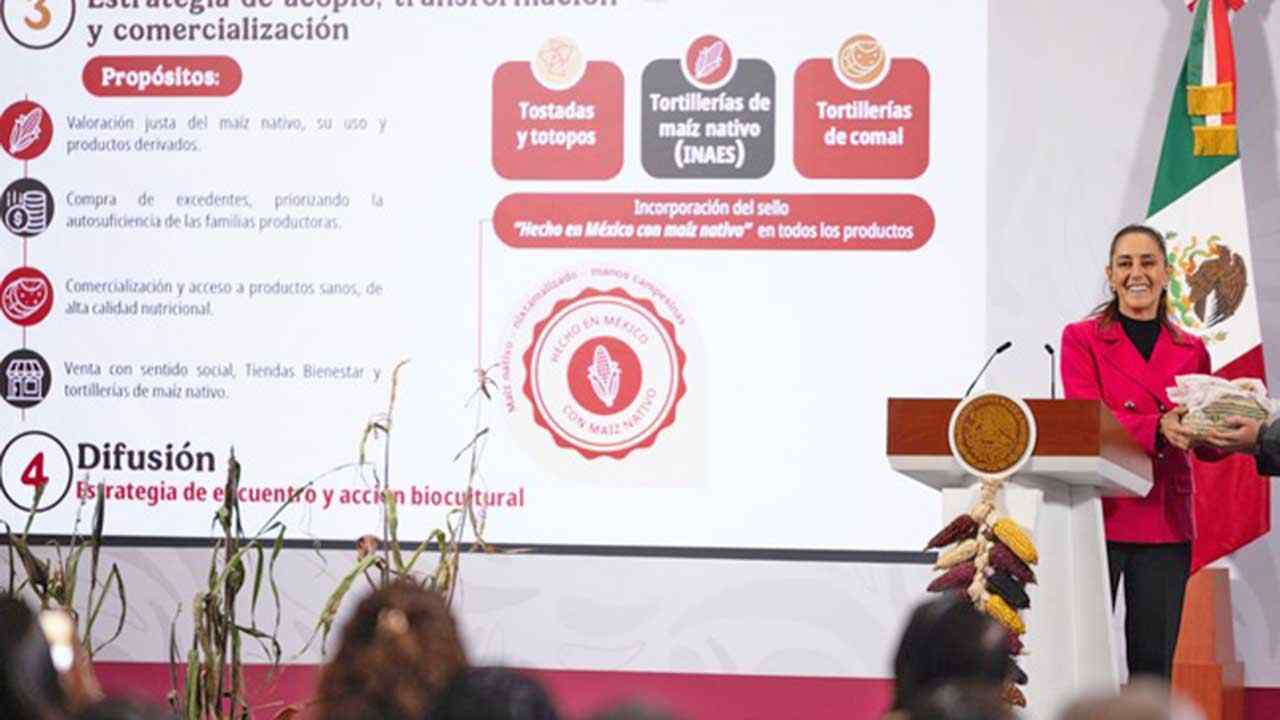 Gobierno de México lanza el Plan Nacional de Maíz Nativo: “El Maíz es la Raíz”
