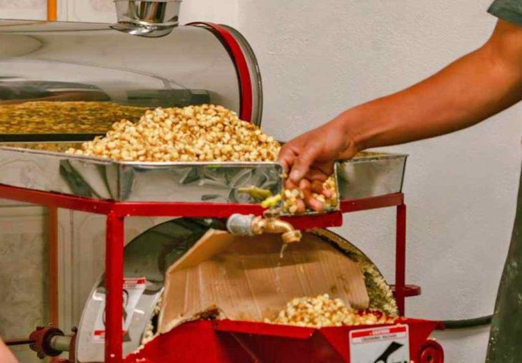 CAFEMIN inaugura tortillería donada por OIM para fortalecer la seguridad alimentaria de mujeres y familias migrantes