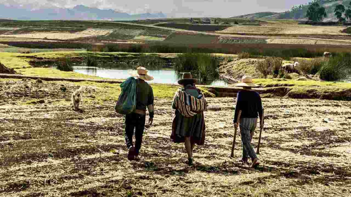 Impulsan OIT y PNUD una transición climática justa con igualdad de género en América Latina