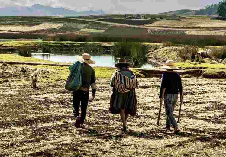 Impulsan OIT y PNUD una transición climática justa con igualdad de género en América Latina