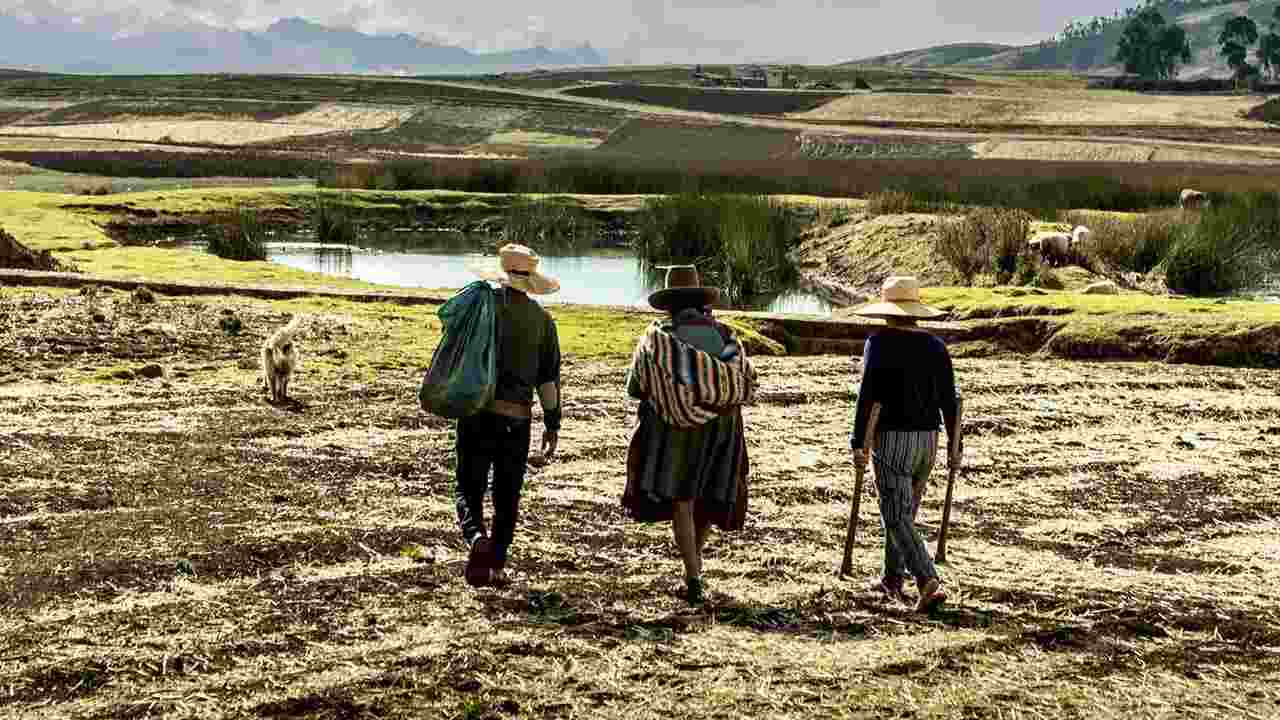 Impulsan OIT y PNUD una transición climática justa con igualdad de género en América Latina