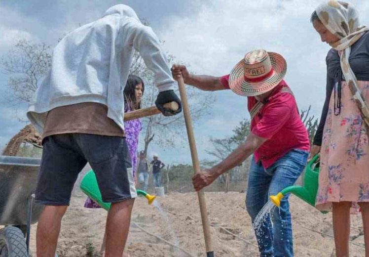 Pérdidas agrícolas globales superan los 3 billones de dólares por desastres en tres décadas