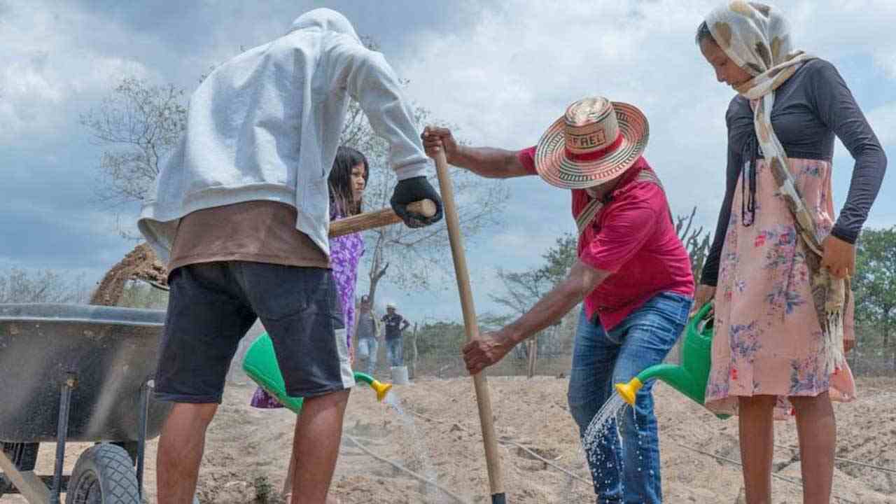 Pérdidas agrícolas globales superan los 3 billones de dólares por desastres en tres décadas