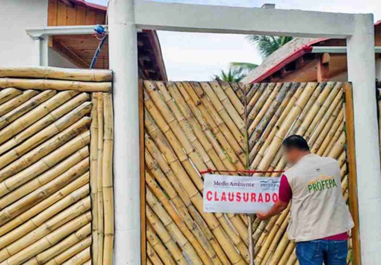 Profepa clausura construcción ilegal en zona costera de Centla, Tabasco