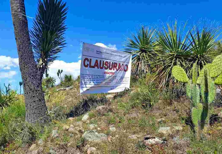 Profepa asegura cuatro toneladas de productos forestales y clausura predio en Huamantla, Tlaxcala