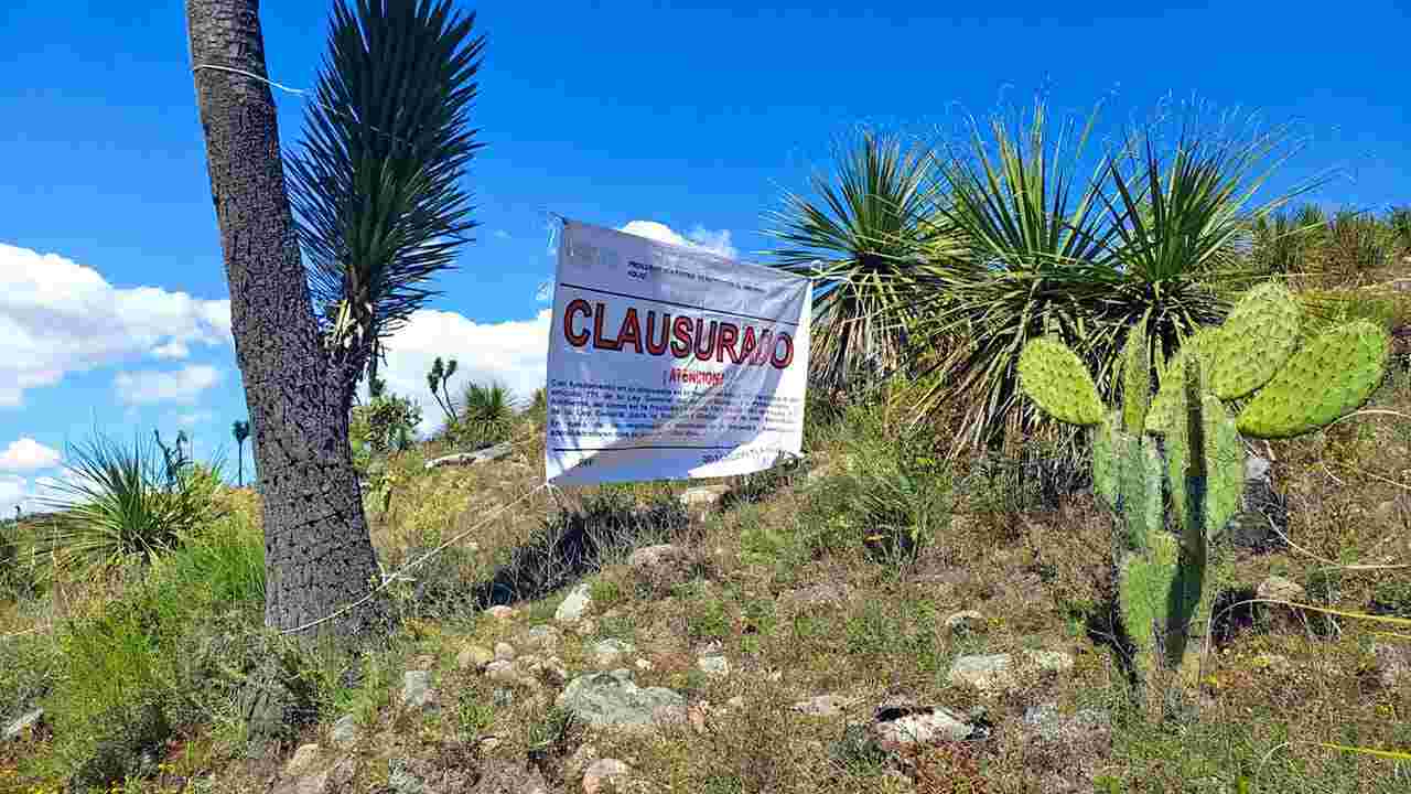 Profepa asegura cuatro toneladas de productos forestales y clausura predio en Huamantla, Tlaxcala
