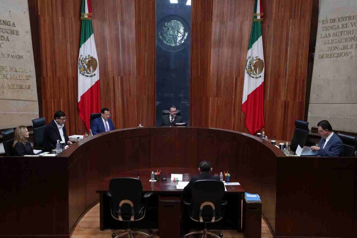 TEPJF desecha queja del PAN contra la presidenta Claudia Sheinbaum por presunto uso indebido de recursos públicos